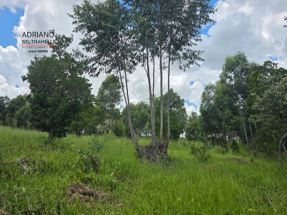 Terreno, 4 hectares - Foto 8