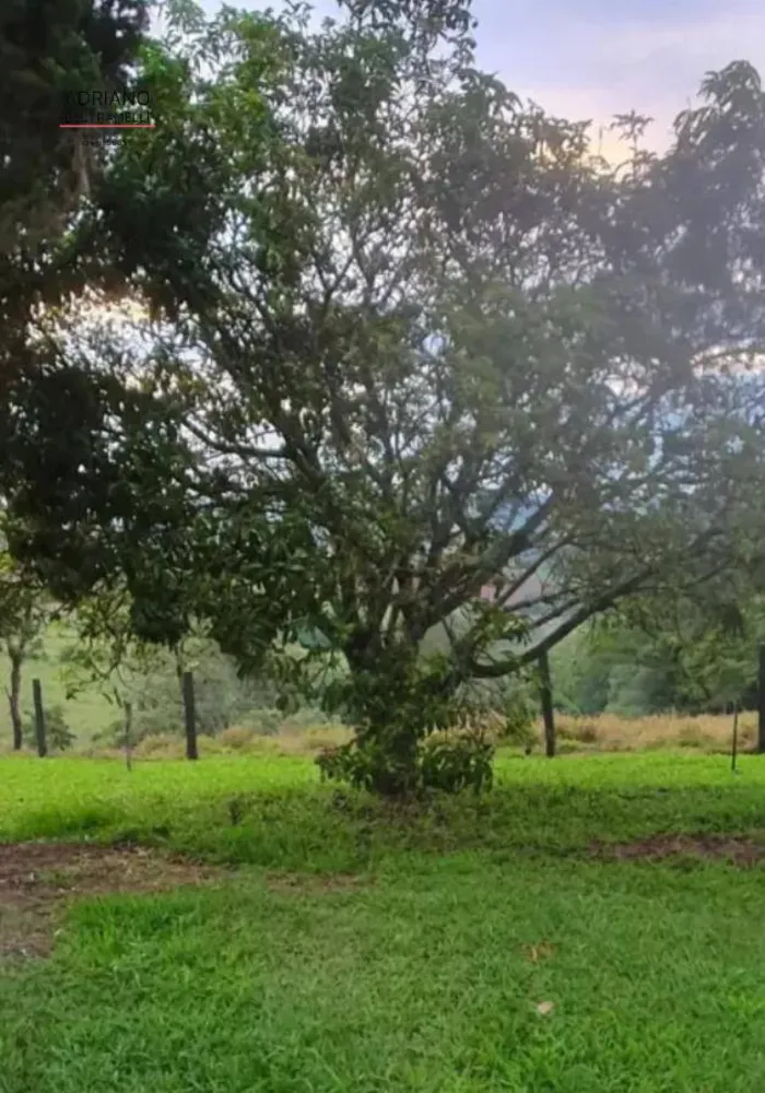 Sítio, 6 quartos, 2 hectares - Foto 10