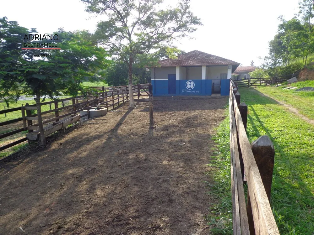 Sítio, 6 quartos, 4 m² - Foto 3