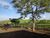 Fazenda, 4 m² - Foto 2