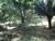 Terreno, 2880 m² - Foto 8