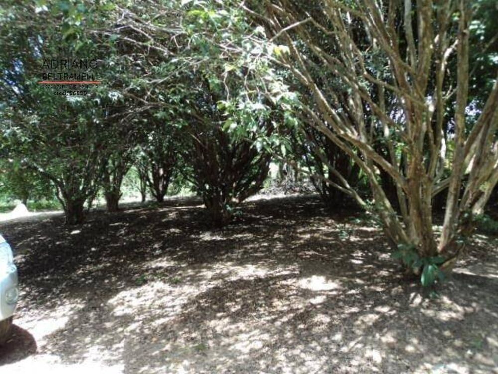 Terreno, 3000 m² - Foto 6