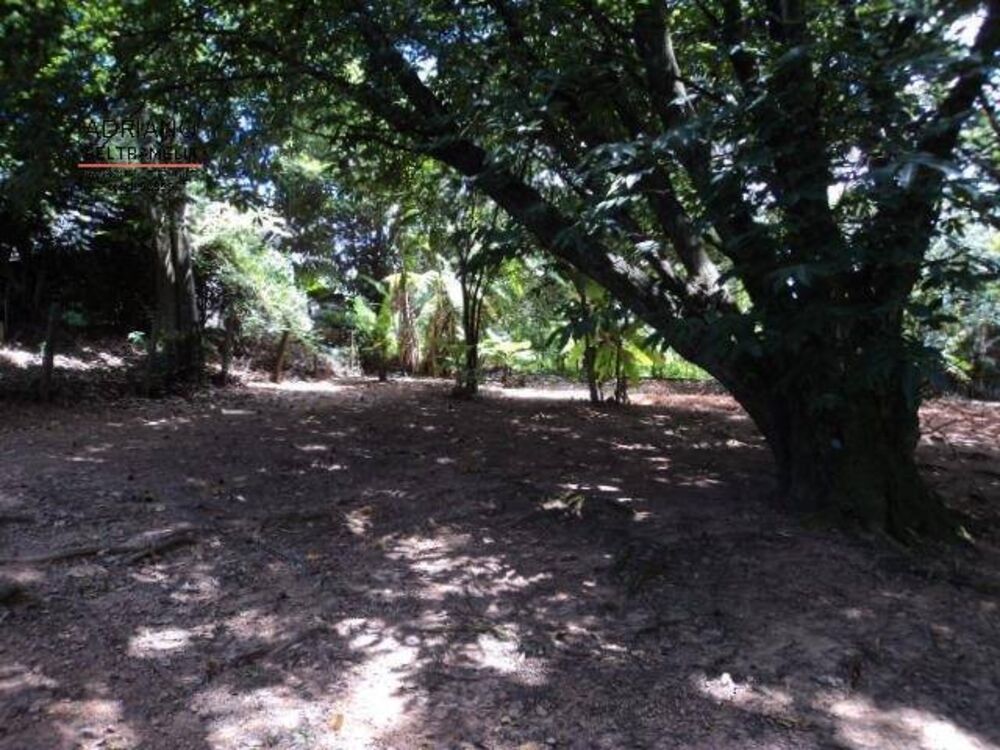 Terreno, 3000 m² - Foto 2