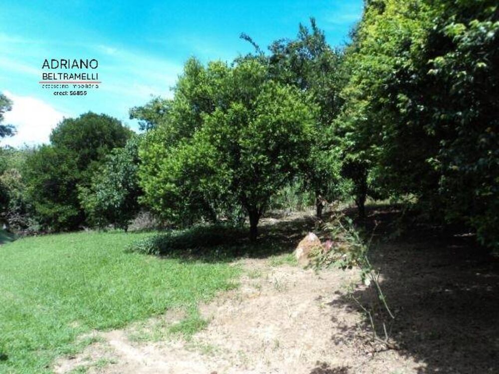 Terreno, 3000 m² - Foto 1