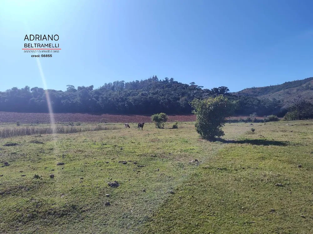 Fazenda, 3500 m² - Foto 10