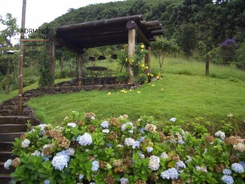 Sítio, 6 quartos, 44 hectares - Foto 7