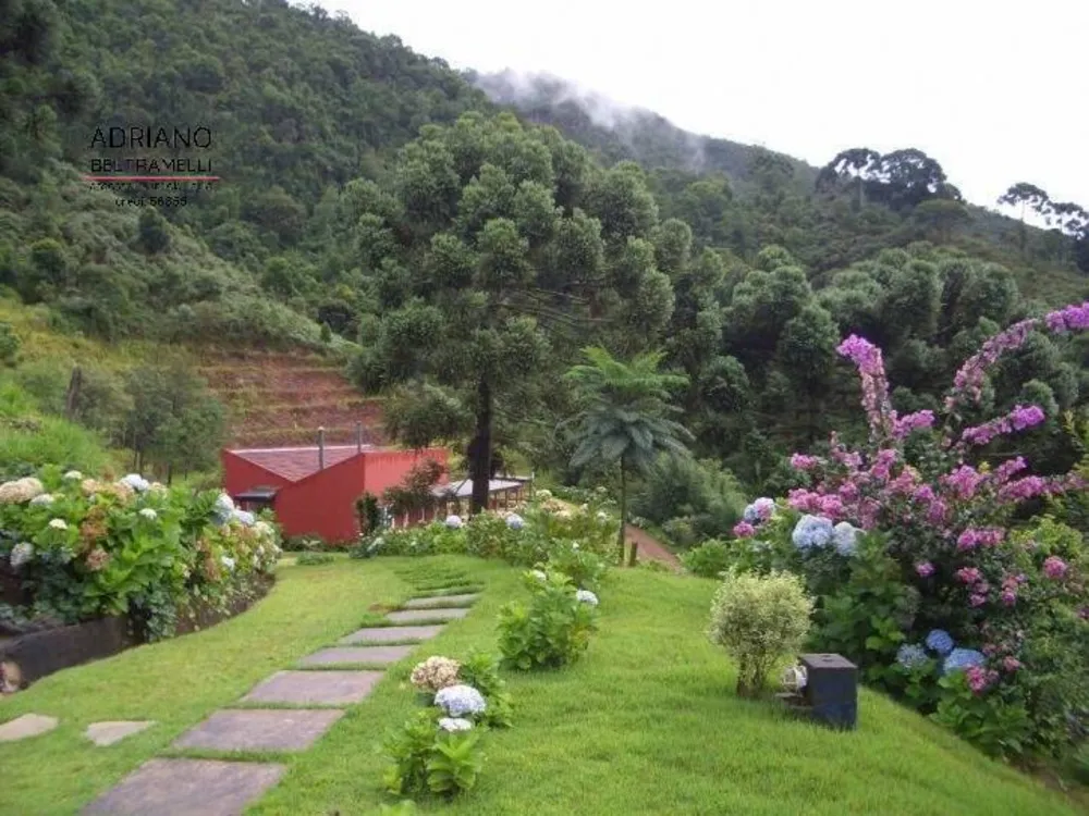 Sítio, 6 quartos, 44 hectares - Foto 11