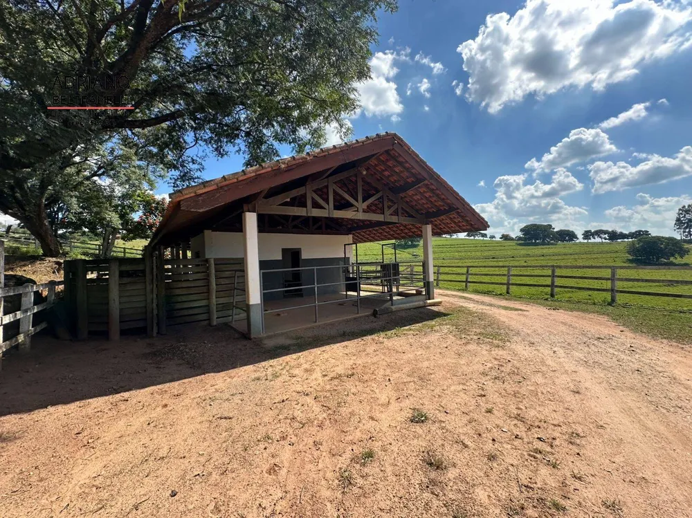 Terreno, 59 hectares - Foto 10