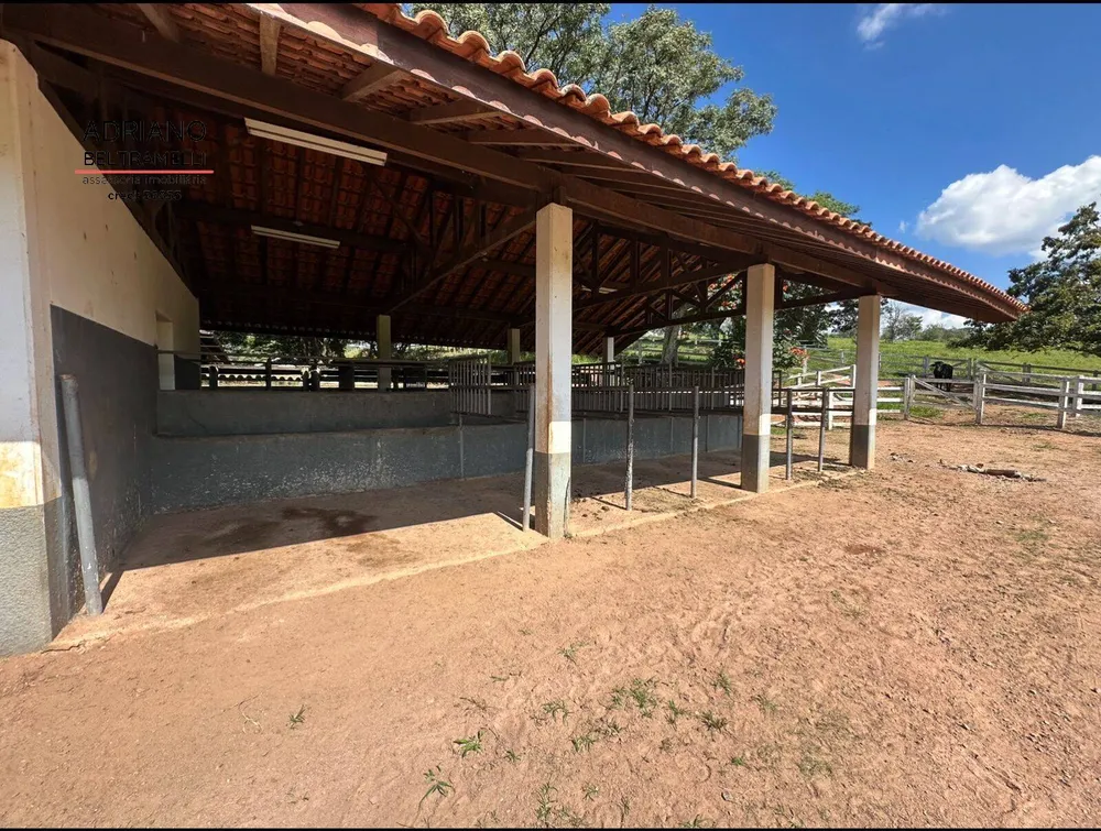 Terreno, 59 hectares - Foto 7