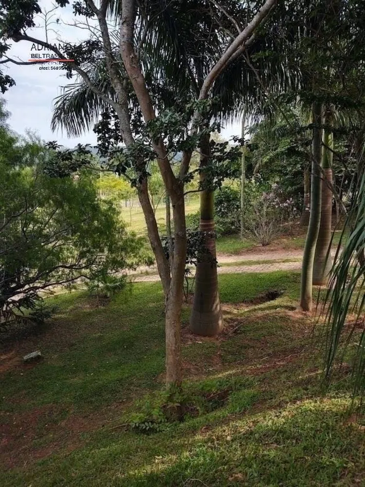 Sítio, 5 quartos, 2 hectares - Foto 19