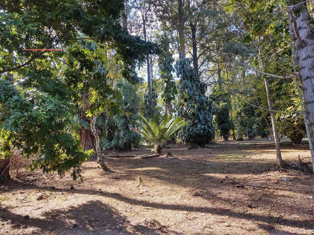 Sítio, 3 quartos, 2 hectares - Foto 11