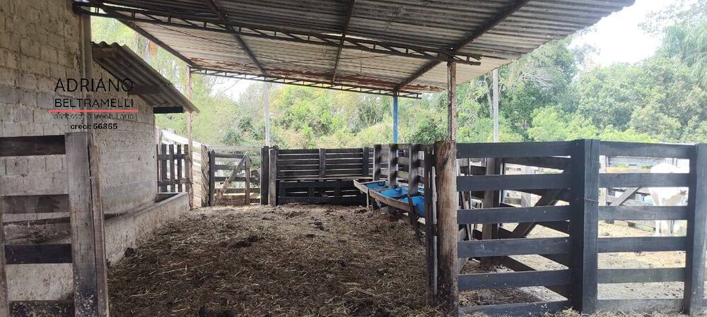 Fazenda à venda com 2 quartos, 400m² - Foto 13