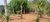 Fazenda-Sítio-Chácara, 400 m² - Foto 15