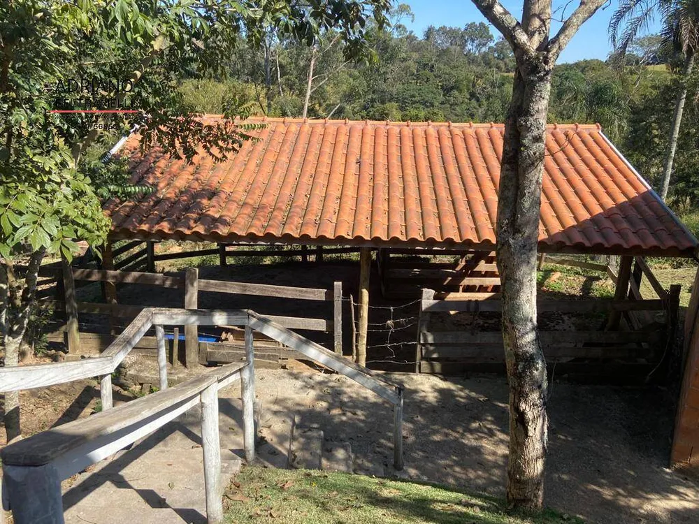 Sítio, 7 quartos, 1000 m² - Foto 6