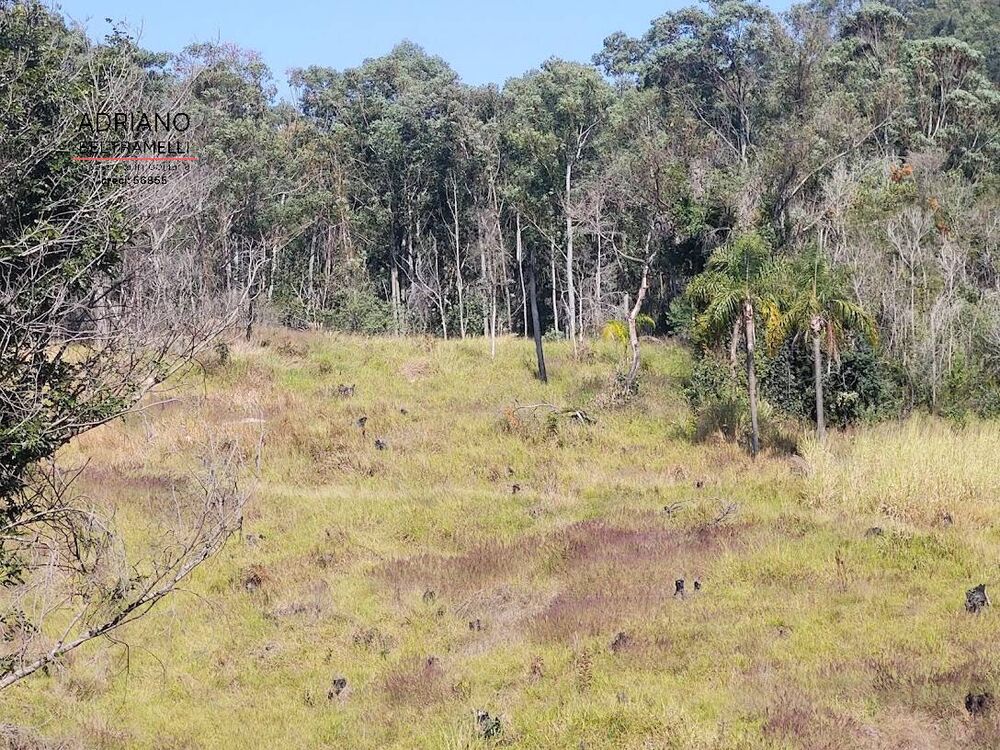 Terreno à venda com 1 quarto, 20950m² - Foto 2