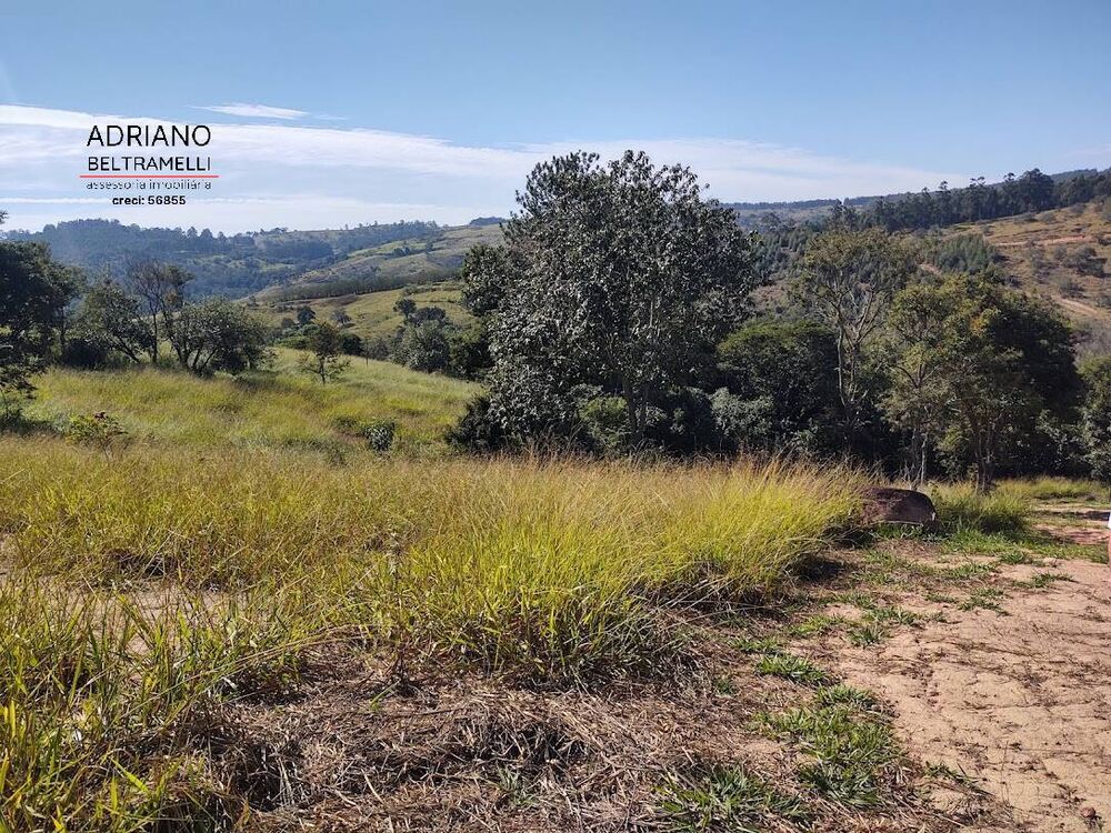 Terreno, 2 hectares - Foto 4