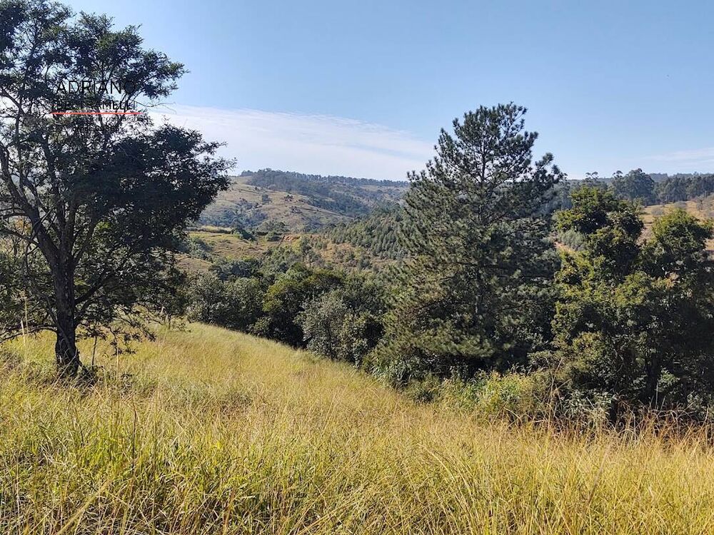 Terreno, 2 hectares - Foto 3
