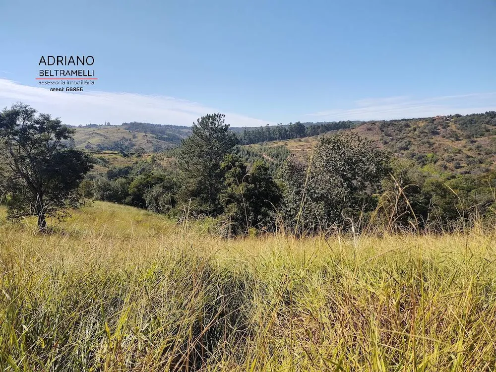 Terreno, 2 hectares - Foto 4