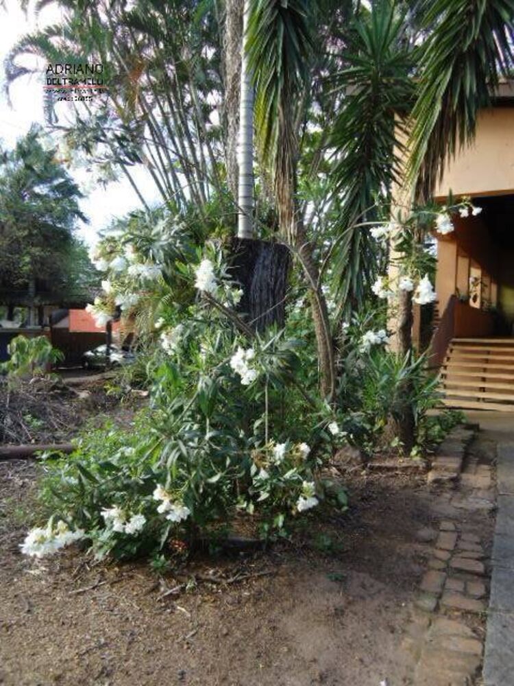 Casa, 9 quartos, 2840 m² - Foto 3