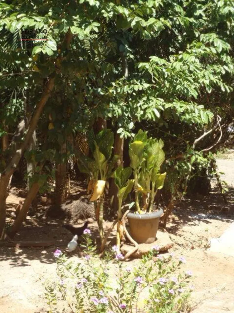 Casa, 9 quartos, 2840 m² - Foto 13