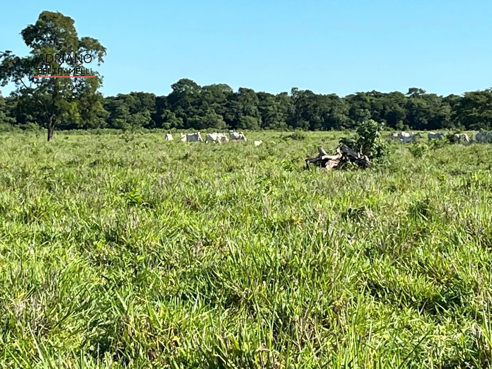 Fazenda, 622 m² - Foto 10