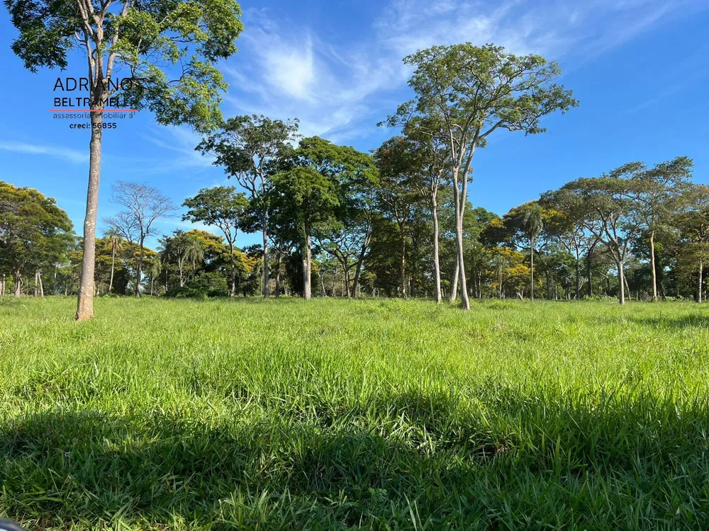 Fazenda, 622 m² - Foto 5