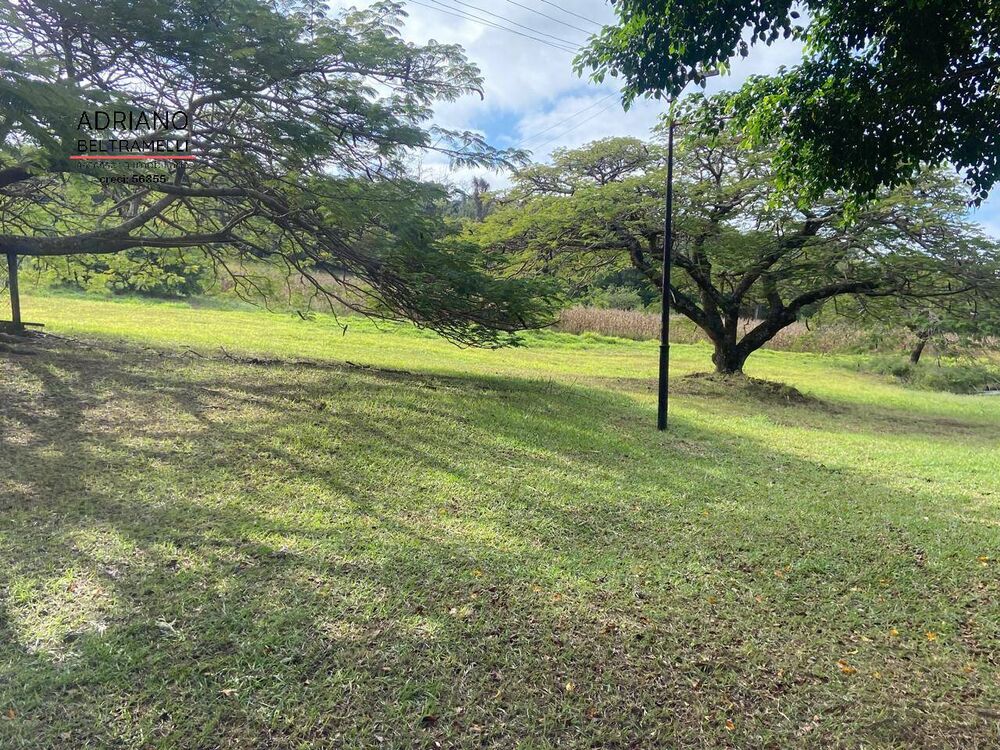 Terreno, 11 hectares - Foto 6