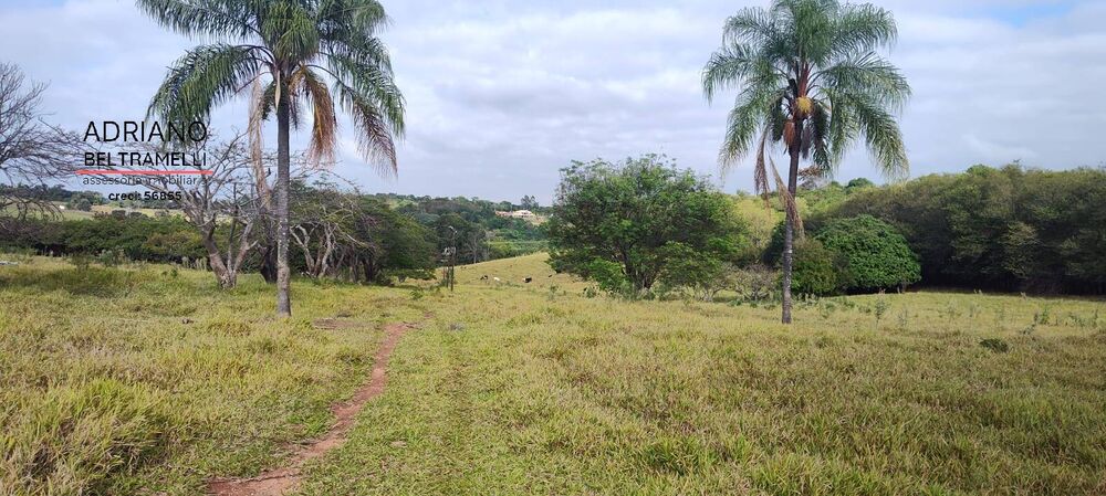 Terreno, 11 hectares - Foto 13