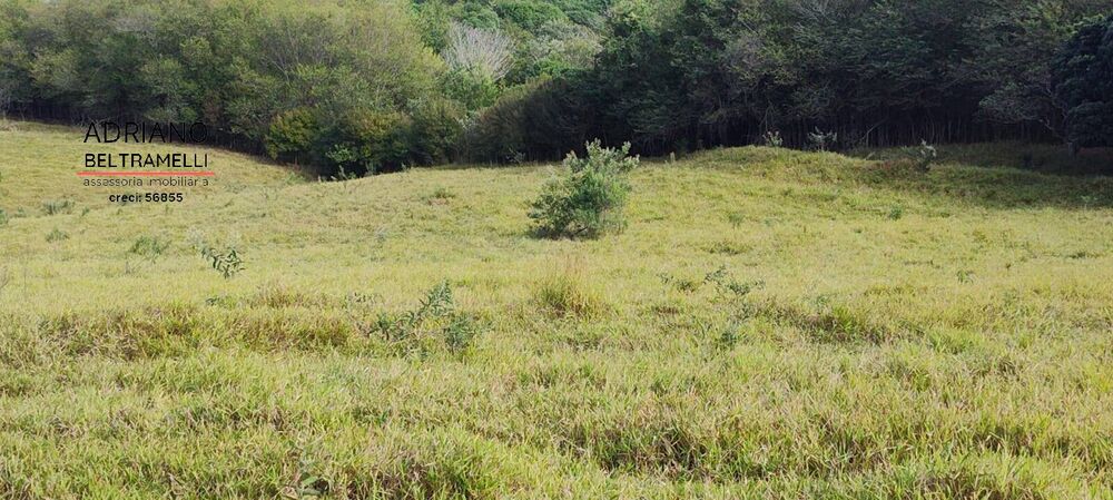 Terreno, 11 hectares - Foto 20