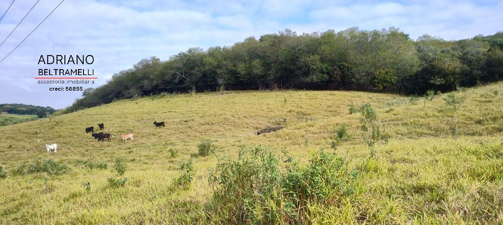 Terreno, 11 hectares - Foto 25