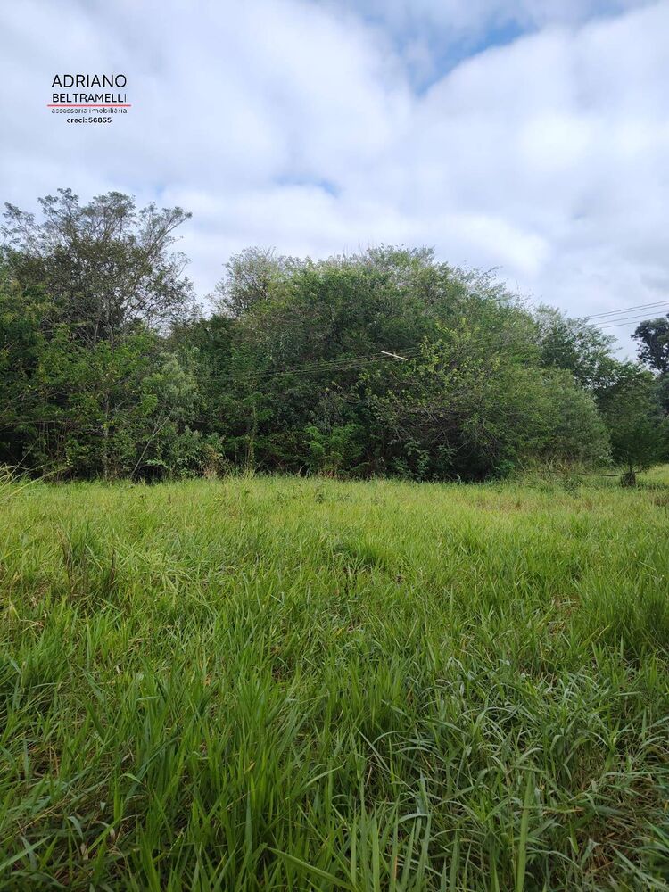 Terreno, 11 hectares - Foto 32