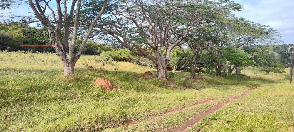 Terreno, 11 hectares - Foto 17