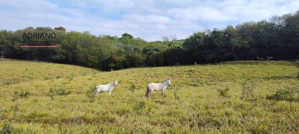 Terreno, 11 hectares - Foto 22