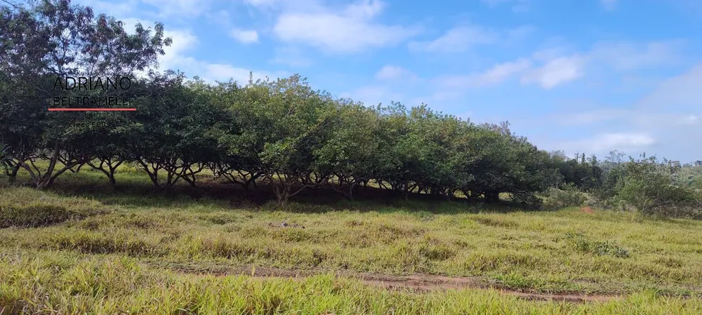Terreno, 11 hectares - Foto 30