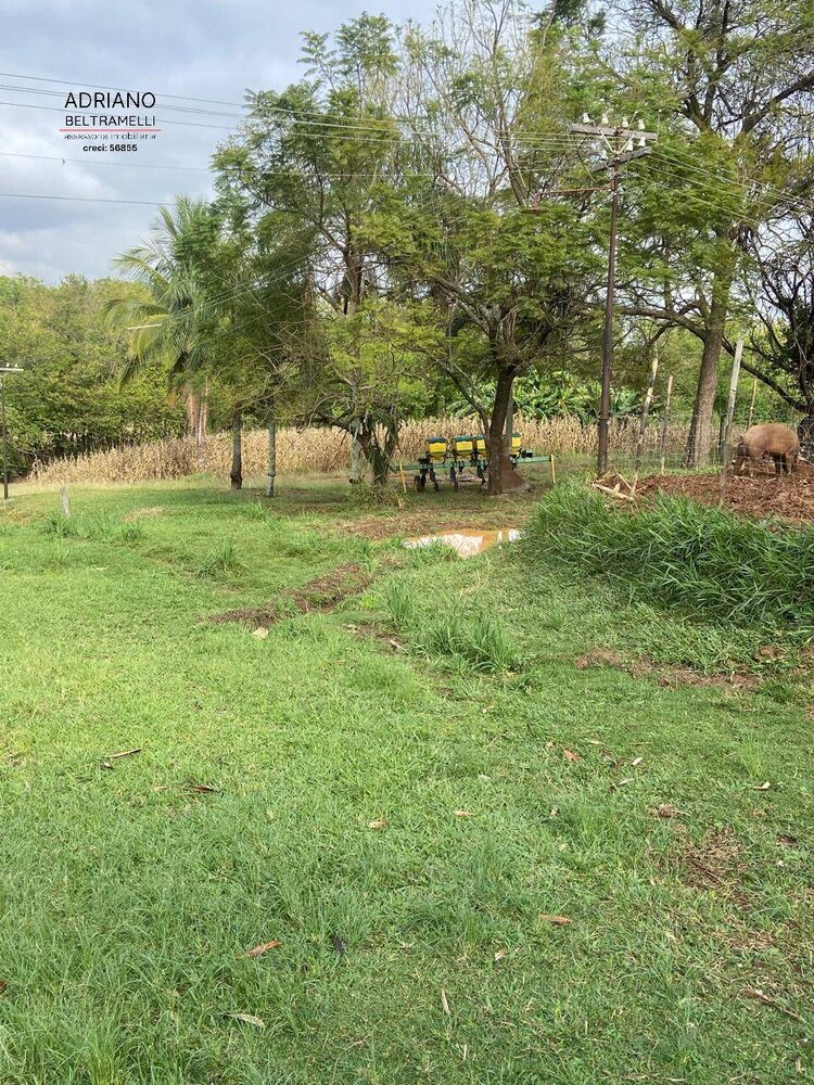 Terreno, 11 hectares - Foto 4