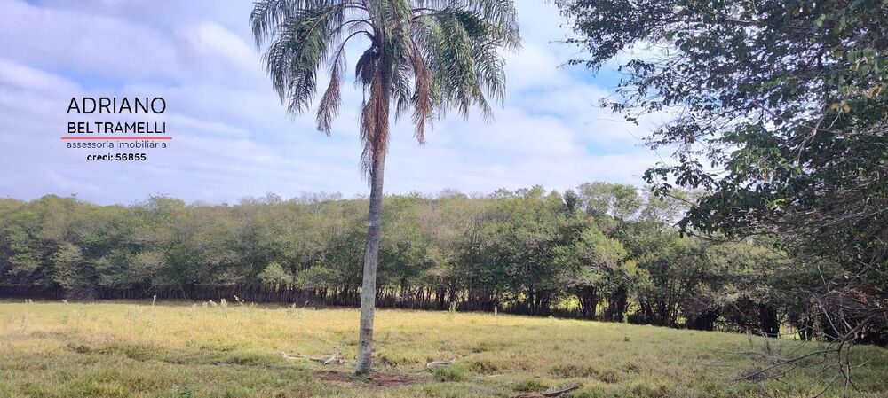 Terreno, 11 hectares - Foto 14