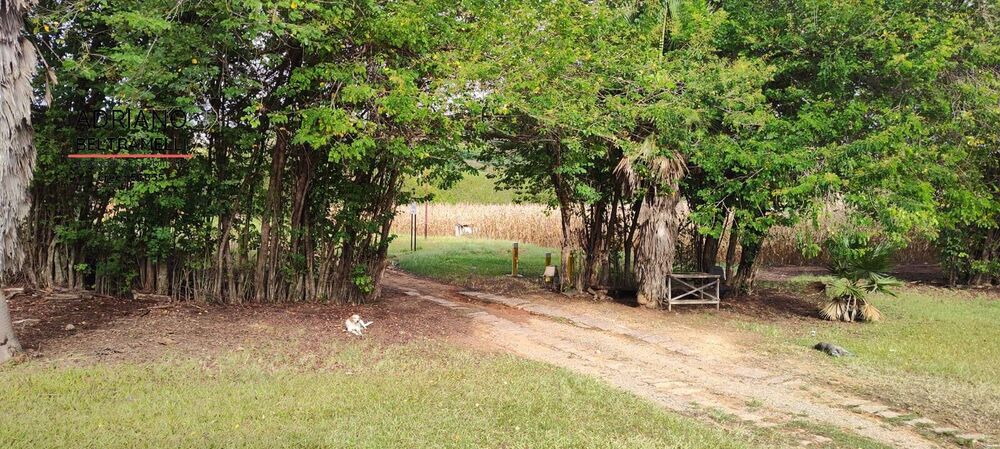 Terreno, 11 hectares - Foto 29