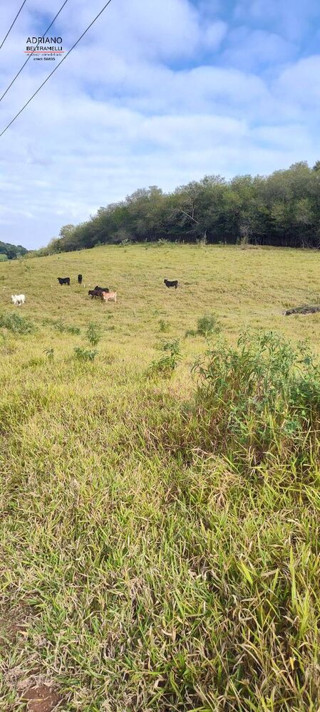 Terreno, 11 hectares - Foto 24