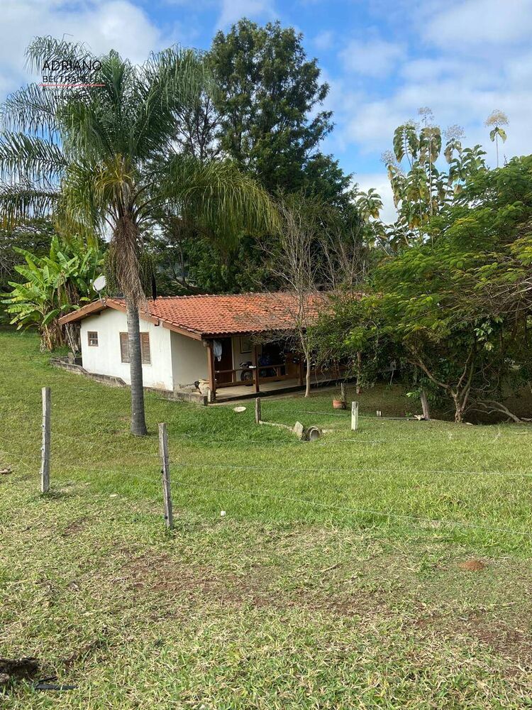 Terreno, 11 hectares - Foto 2