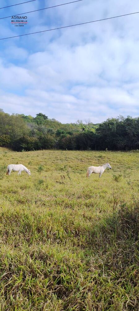 Terreno, 11 hectares - Foto 23