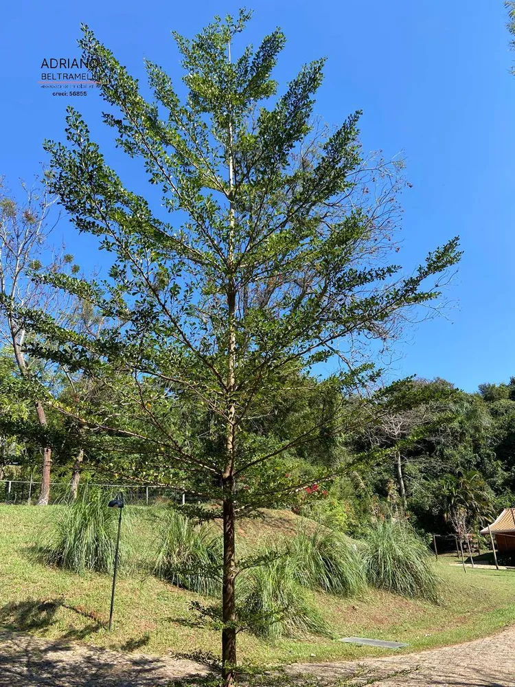 Terreno, 11 hectares - Foto 19