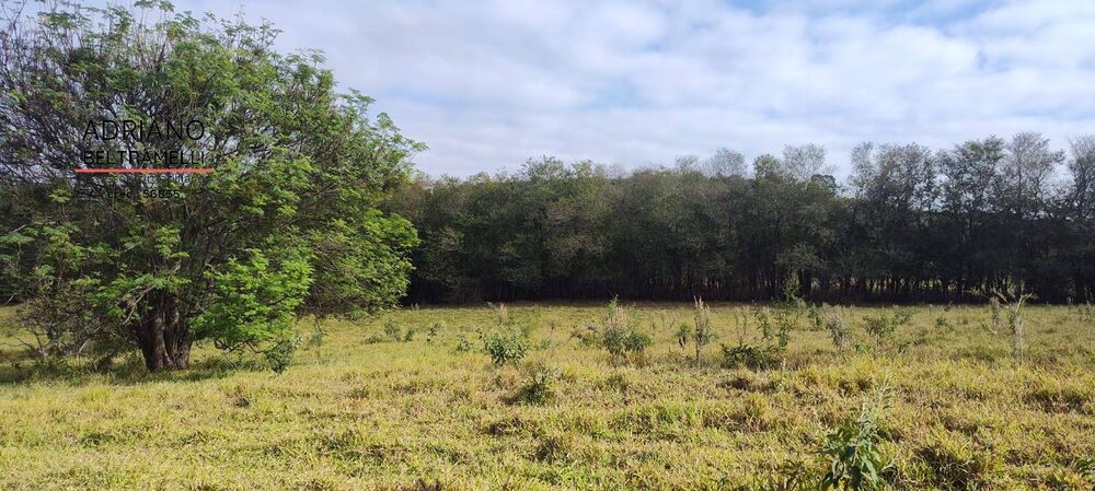 Terreno, 11 hectares - Foto 16