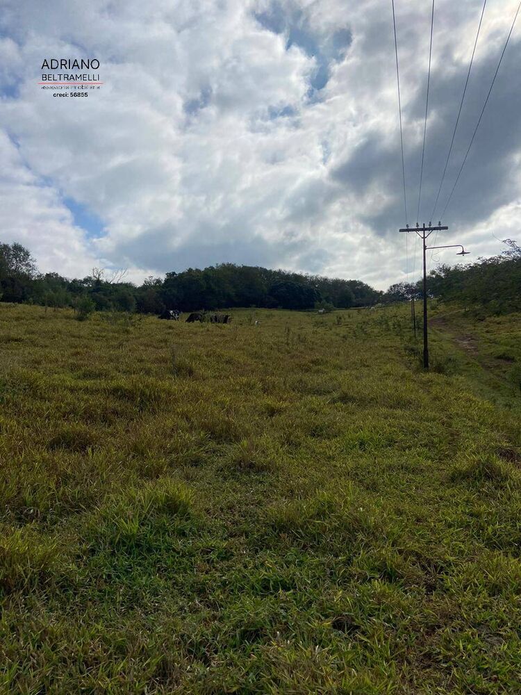 Terreno, 11 hectares - Foto 12