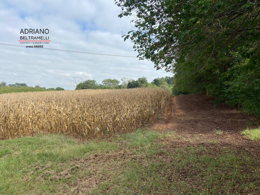 Terreno, 11 hectares - Foto 11