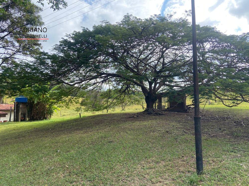 Terreno, 11 hectares - Foto 8