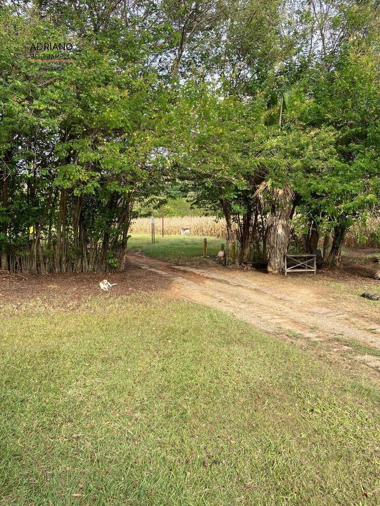 Terreno, 11 hectares - Foto 10