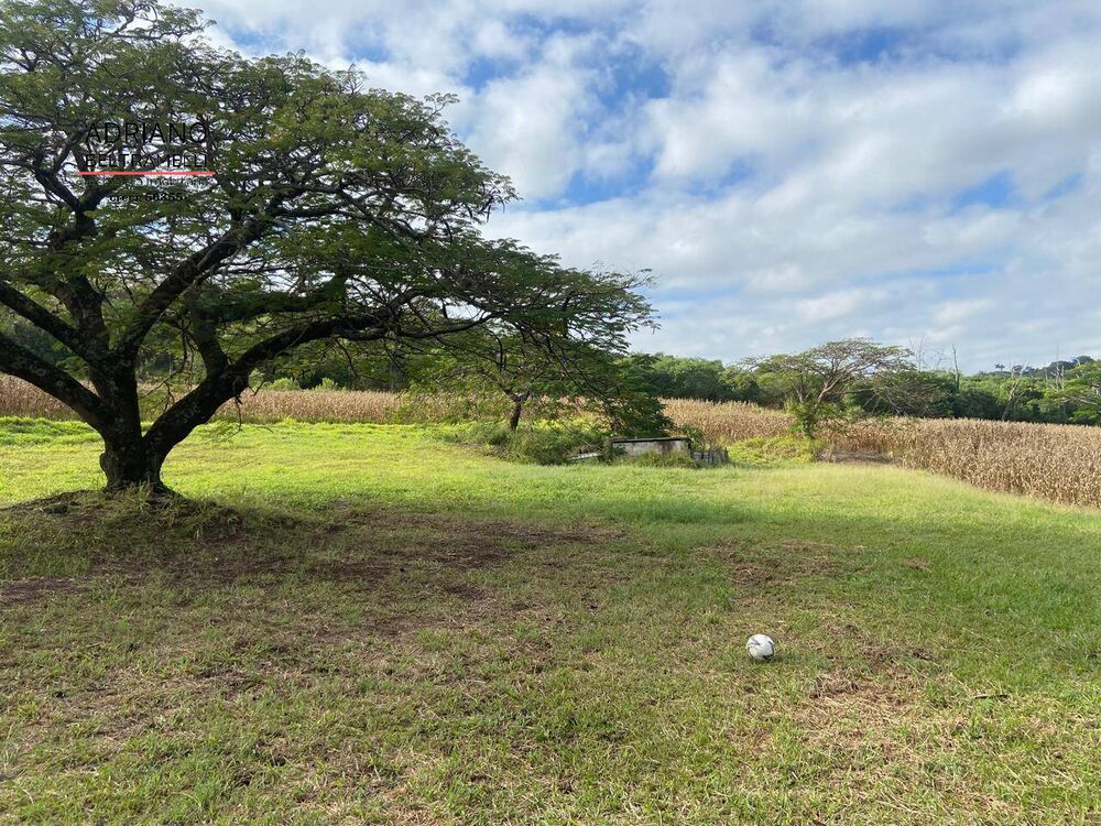 Terreno, 11 hectares - Foto 7