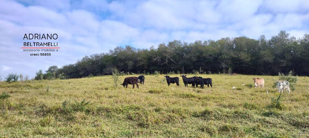 Terreno, 11 hectares - Foto 26