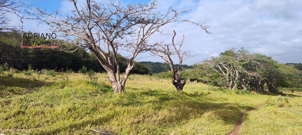 Terreno, 11 hectares - Foto 15