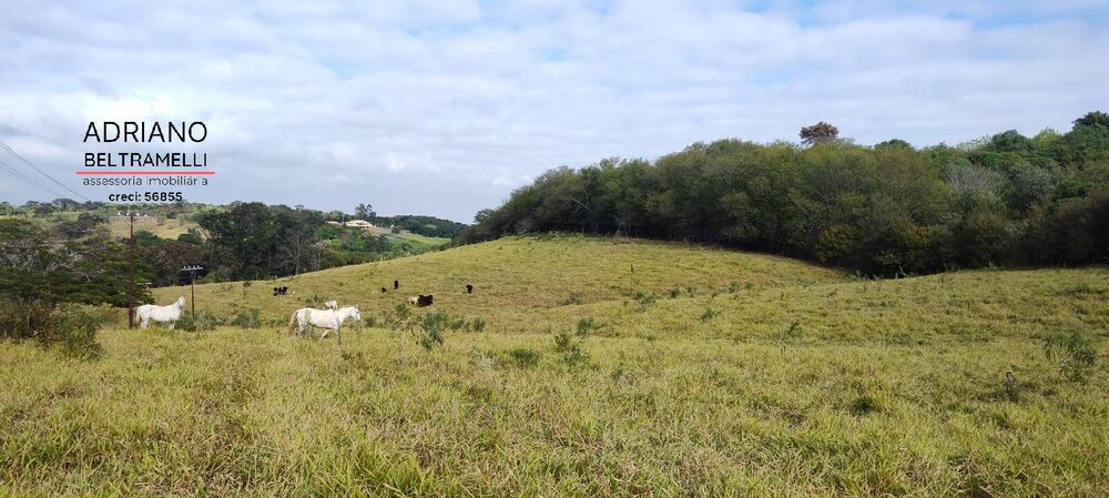 Terreno, 11 hectares - Foto 21